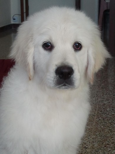 ONA A LOS TRES MESES
ONA A LOS TRES MESES